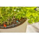 Zestaw do nawadniania kropelkowego Micro-Drip-System - na taras (30 roślin)
