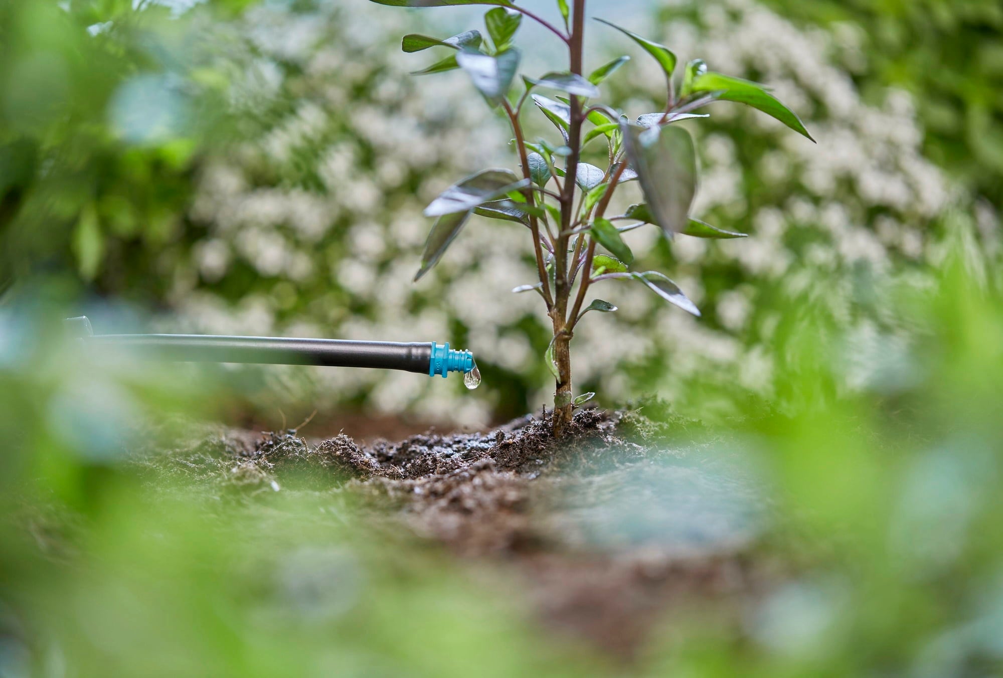 Gardena Goutteur Fin de Ligne 2 l/h Micro-Drip