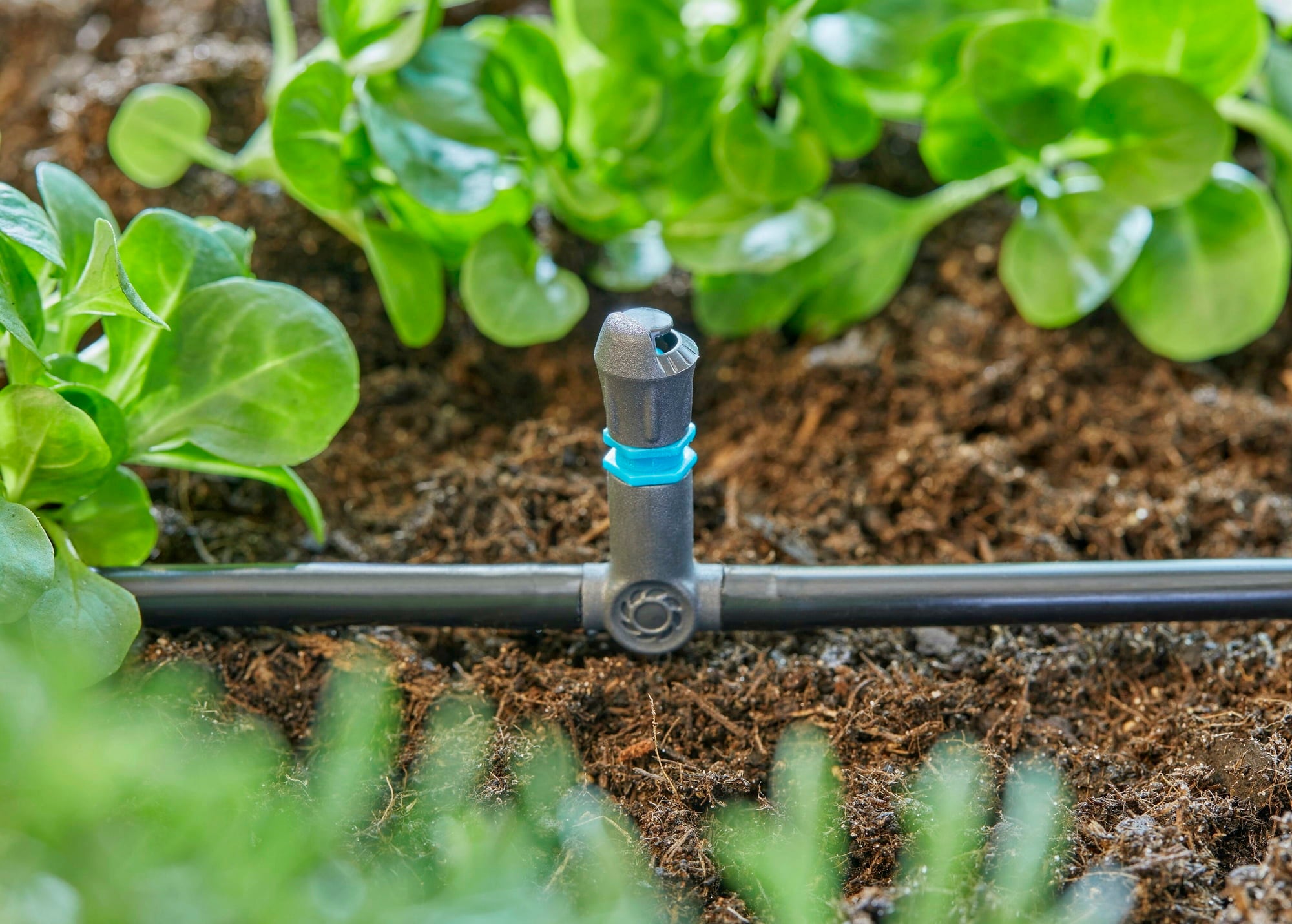 Micro-Drip-System T-Joint for Spray Nozzles/Endline Drip Heads 4.6 mm (3/16