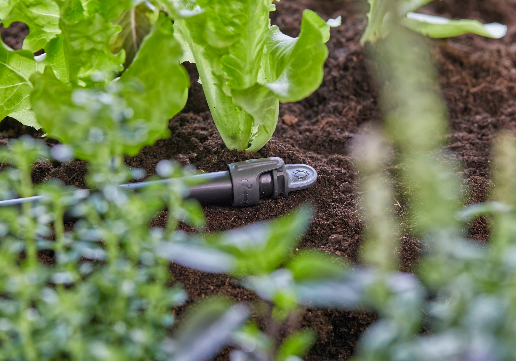Bouchon Fin de Ligne Micro-Drip 13 mm (1/2