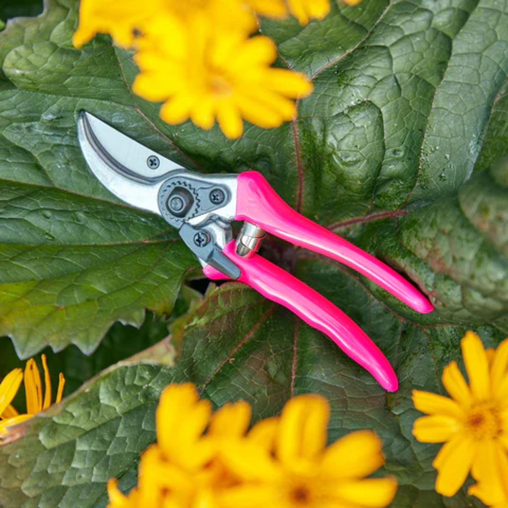 Burgon & Ball Bypass Secateurs - Pink