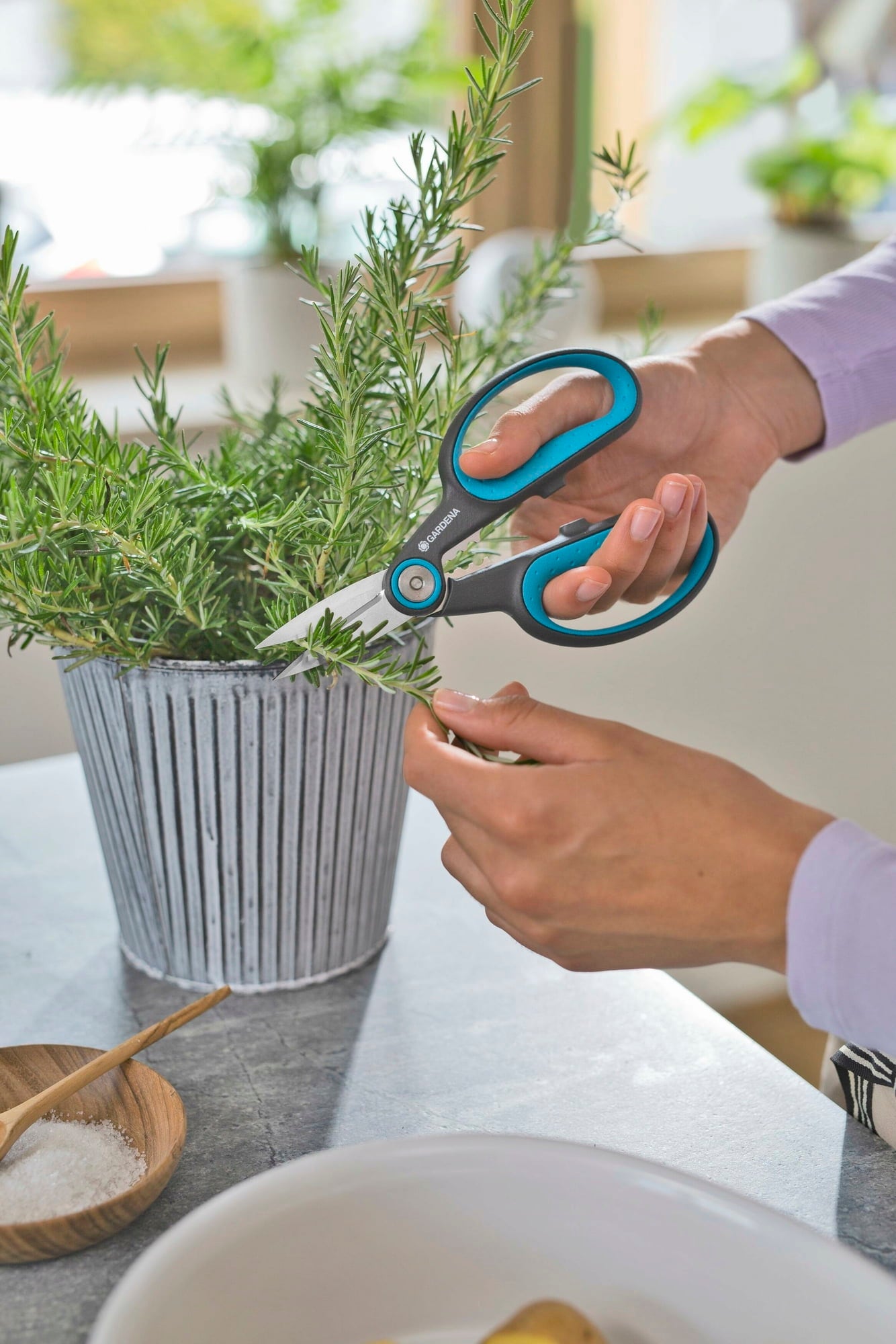 Gardena Set HerbCut
