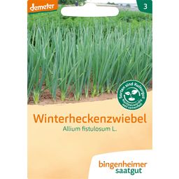 Bingenheimer Saatgut Winterheckenzwiebel