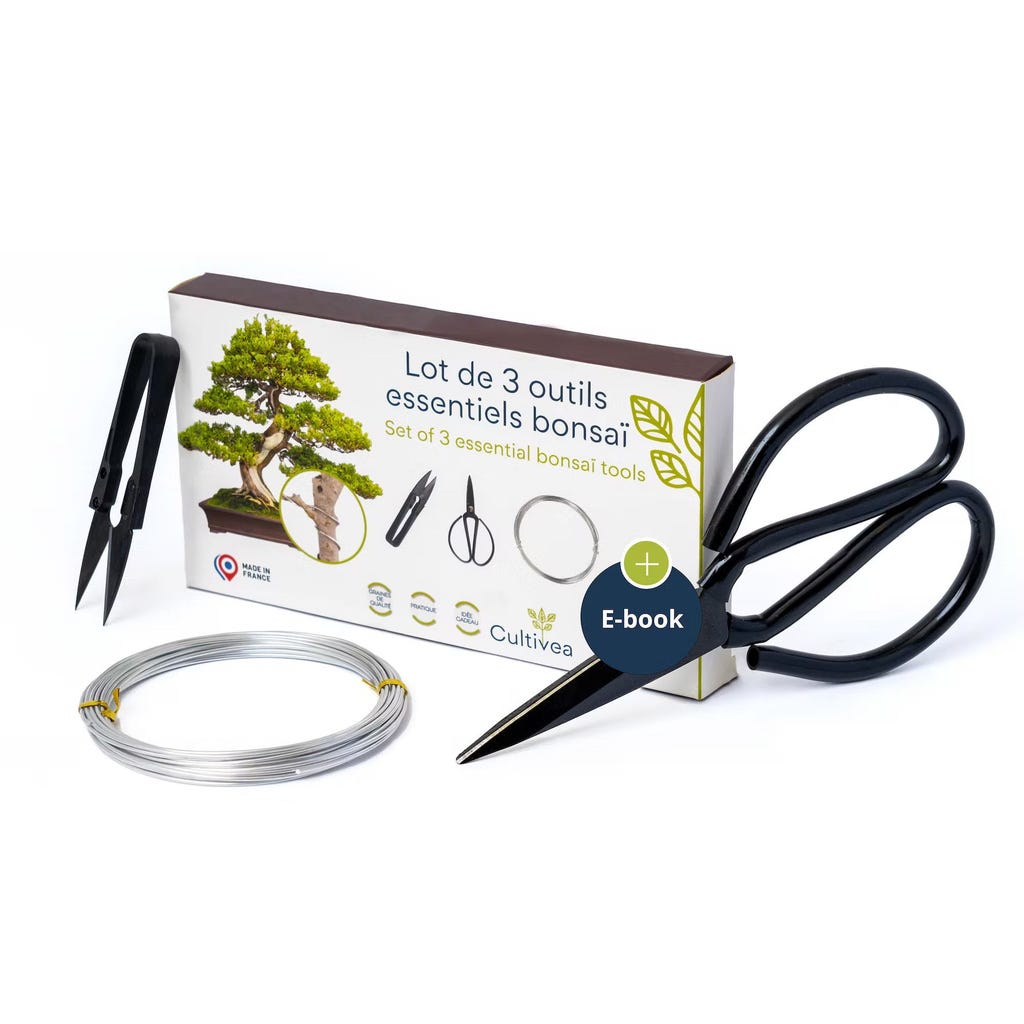 Kit Attrezzi Per Bonsai CHICIRIS - 9 Pezzi In Acciaio Al Manganese, Con Custodia