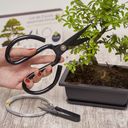 Cultivea Set orodja za bonsaj