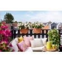 elho vibia campana flower bridge 40cm - Terra