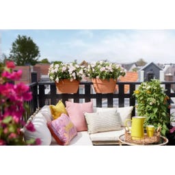 elho vibia campana flower bridge 40cm - Terra