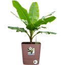 elho greensense aqua care 30cm, square - Clay Brown