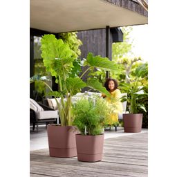 elho greensense aqua care 30cm, square - Clay Brown