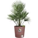 elho greensense aqua care 43cm - Clay Brown