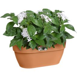 elho vibia campana wall pot 35cm - Terra