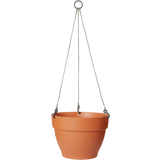 elho vibia campana hanging basket, 26 cm