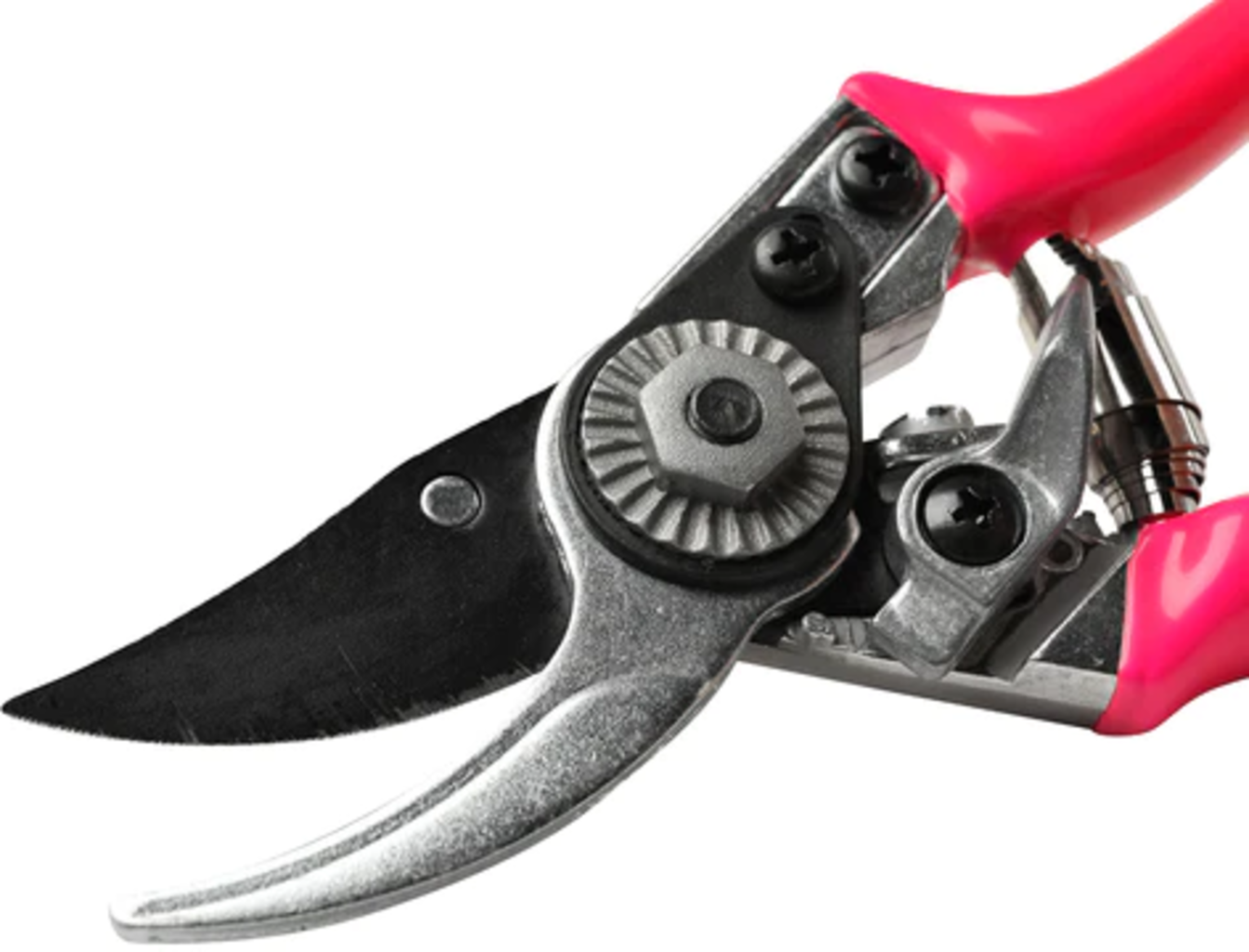 Burgon & Ball Sécateur de Poche - Rose