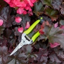 Burgon & Ball Flower & Fruit Snips - Yellow