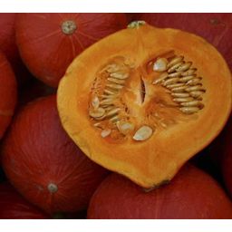 De Bolster Organic Pumpkin 