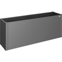 Planter Box - Belvedere MAXI, Metallic Dark Grey  - 200