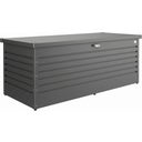 Biohort FreizeitBox dunkelgrau-metallic - 180
