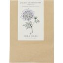 Straalscherm White Lace Orlaya Grandiflora - 1 Verpakking