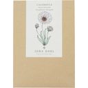 Jora Dahl 'Snow Princess' körömvirág - Calendula - 1 csomag