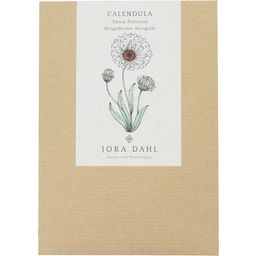 Jora Dahl 'Snow Princess' körömvirág - Calendula - 1 csomag
