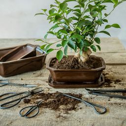 Esschert Design Škarje za obrezovanje bonsajev ozke