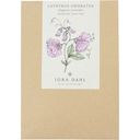 Lathyrus Odoratus - Pisello Odoroso Elegance Lavender - 1 conf.