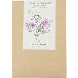 Welriekende lathyrus Elegance Lavender Lathyrus Odortatus - 1 Verpakking