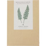 Jora Dahl Sino-da-Irlanda - Moluccella laevis