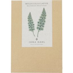Jora Dahl Moluccella laevis - Bells-of-Ireland - 1 item