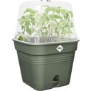 elho green basics growpot square - 30 cm - verde foglia