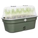 elho green basics grow tray allin1 - M - verde foglia