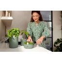 elho Pot pour Herbes Aromatiques BOUNCY BASIL - Leaf Green
