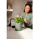 elho Pot pour Herbes Aromatiques BOUNCY BASIL - Leaf Green