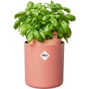 elho Bouncy Basil Herb Pot - Toffee Terra