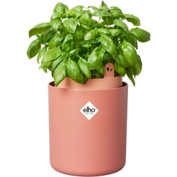 elho Bouncy Basil Herb Pot - Toffee Terra