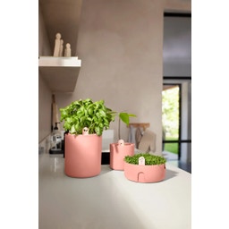 elho Bouncy Basil Herb Pot - Toffee Terra