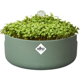 elho Magic Microgreens Planteringskruka - växtgrön