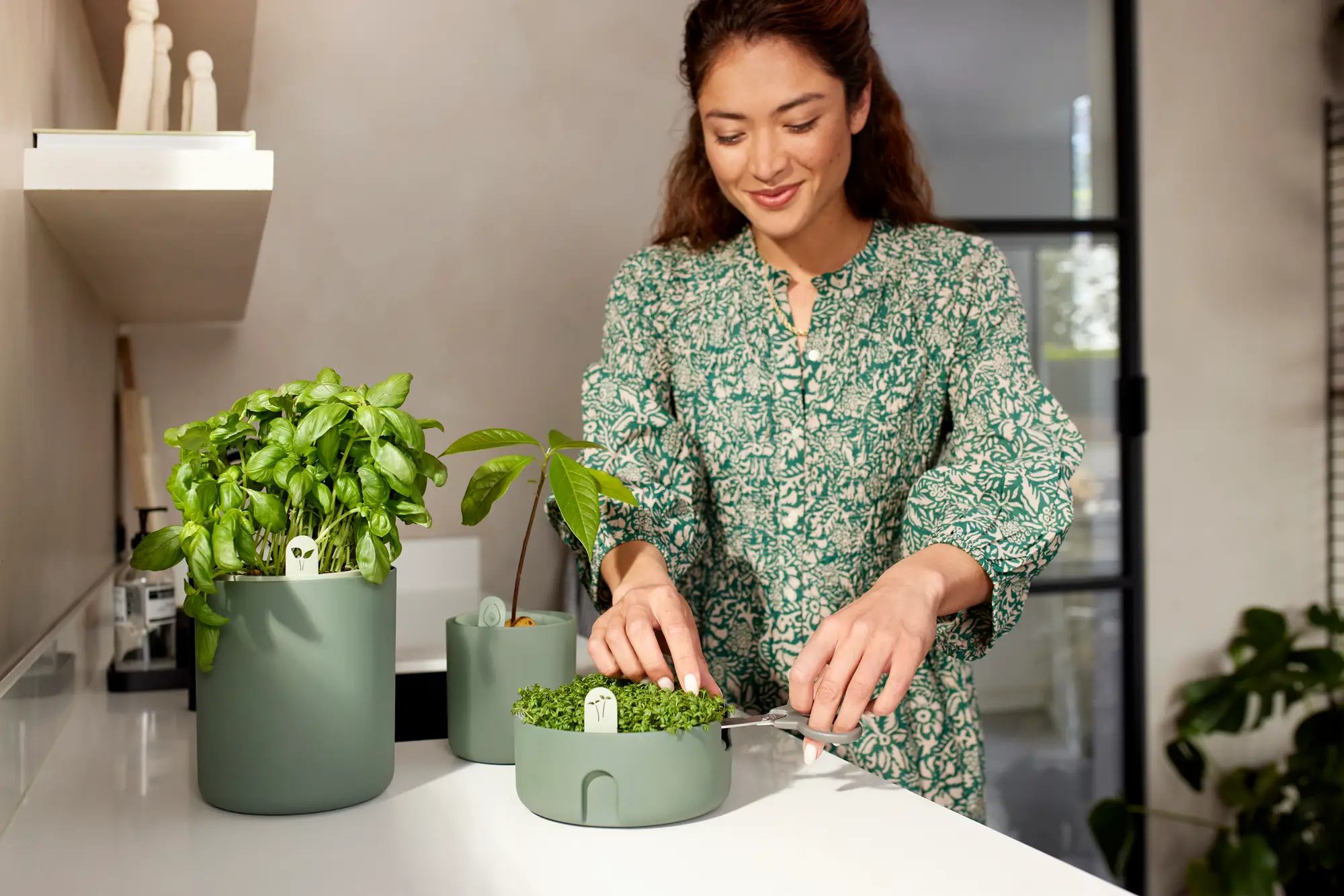 Lonec za gojenje Microgreens 