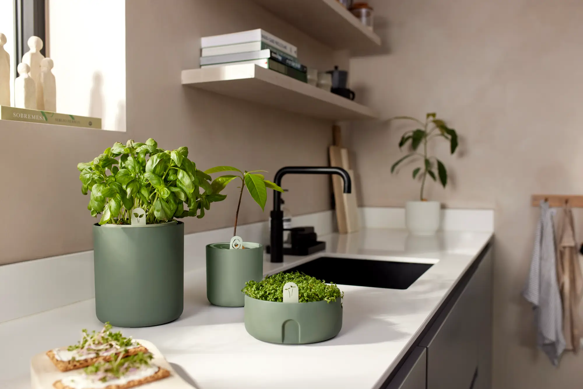 Lonec za gojenje Microgreens 