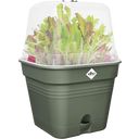 elho Green Basics Growing Pots 15cm - Square - Leaf Green