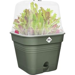 elho green basics growpot square - 15 cm - verde foglia