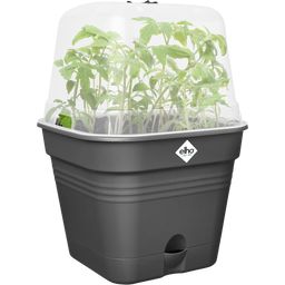 elho Green Basics Growing Pots 15cm - Square - Living Black