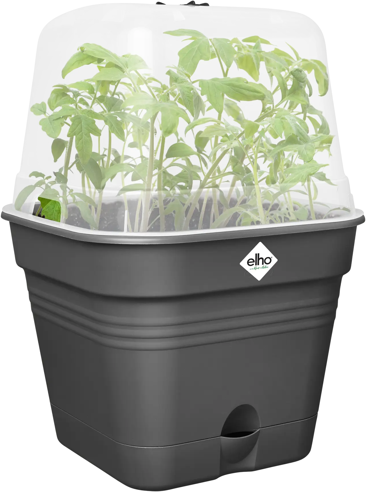 elho Green Basics Growing Pots 15cm - Square - Living Black