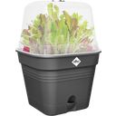 elho Green Basics Growing Pots 15cm - Square - Living Black