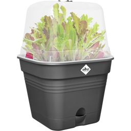 elho Green Basics Growing Pots 15cm - Square - Living Black