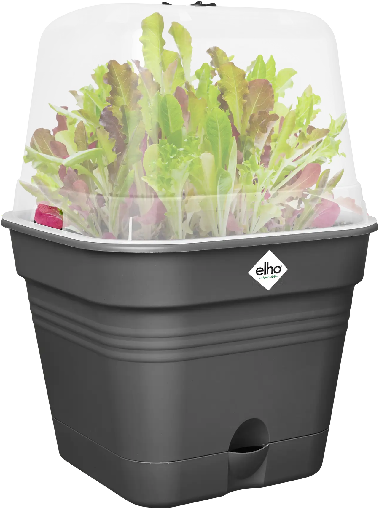elho Green Basics Growing Pots 15cm - Square - Living Black