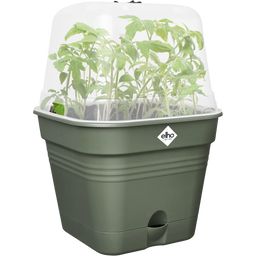 Macetero de Cultivo Green Basics Cuadrado - 20 cm - Verde hoja