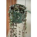 elho b.for swing Hanging Pot 18cm  - Stone Green