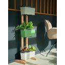 Harry Herbs Wooden Plant Stand with Holders - 1 item