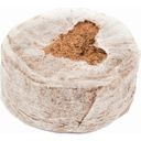 Paul Potato Coconut Soil Pot